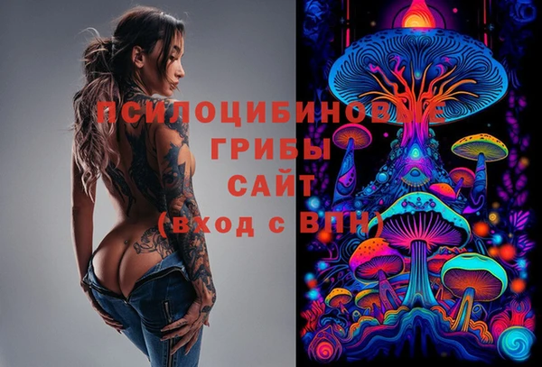 МДПВ Абинск